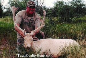 Texas-Quality-Hunts-Exotics-4