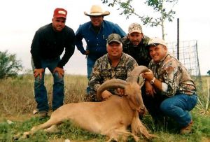 Texas-Quality-Hunts-Exotics-9