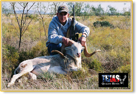Texas Quality Hunts Exotics 1