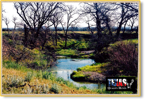 Texas Quality Hunts Landscape 3